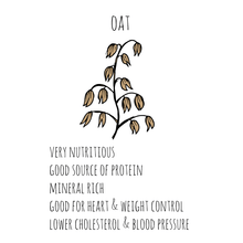 画像をギャラリービューアに読み込む, Organic &amp; Gluten-free Coffee Nut Granola (コーヒーナッツ) 284g

